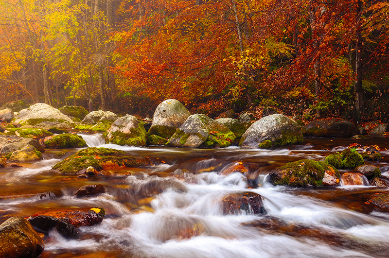 anteprima i colori dell'autunno in valle Pesio Workshop di fotografia di paesaggio