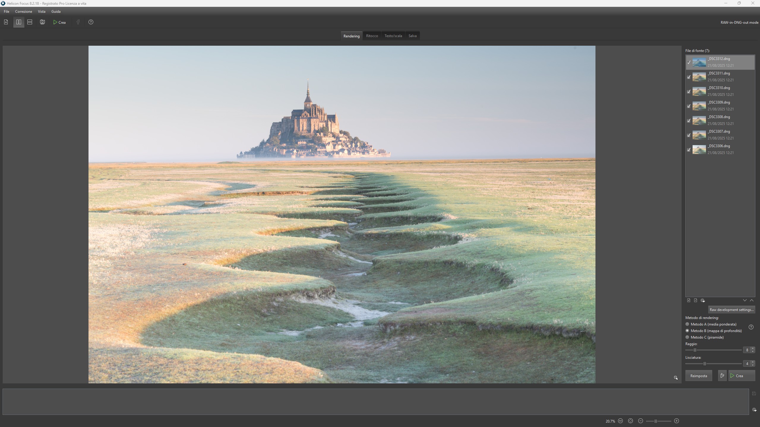 Helicon Focus interfaccia per Focus Stacking