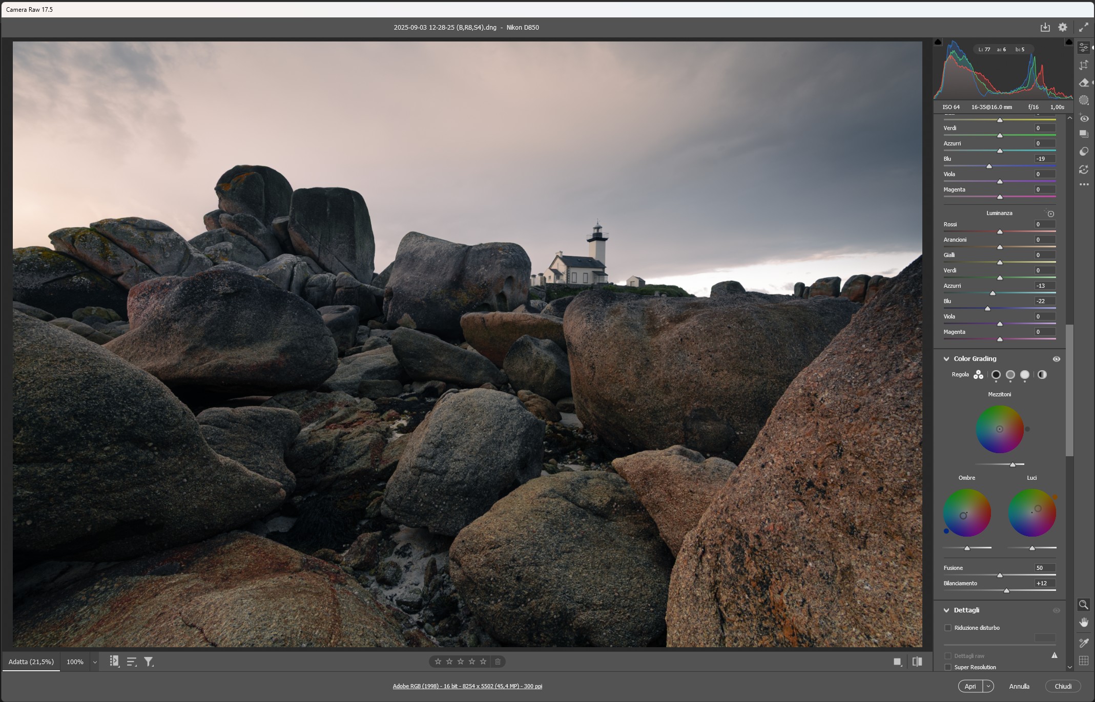 Pannello Color Grading di Camera Raw