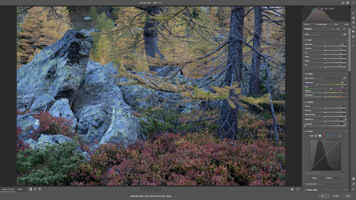Il pannello colore di Camera Raw