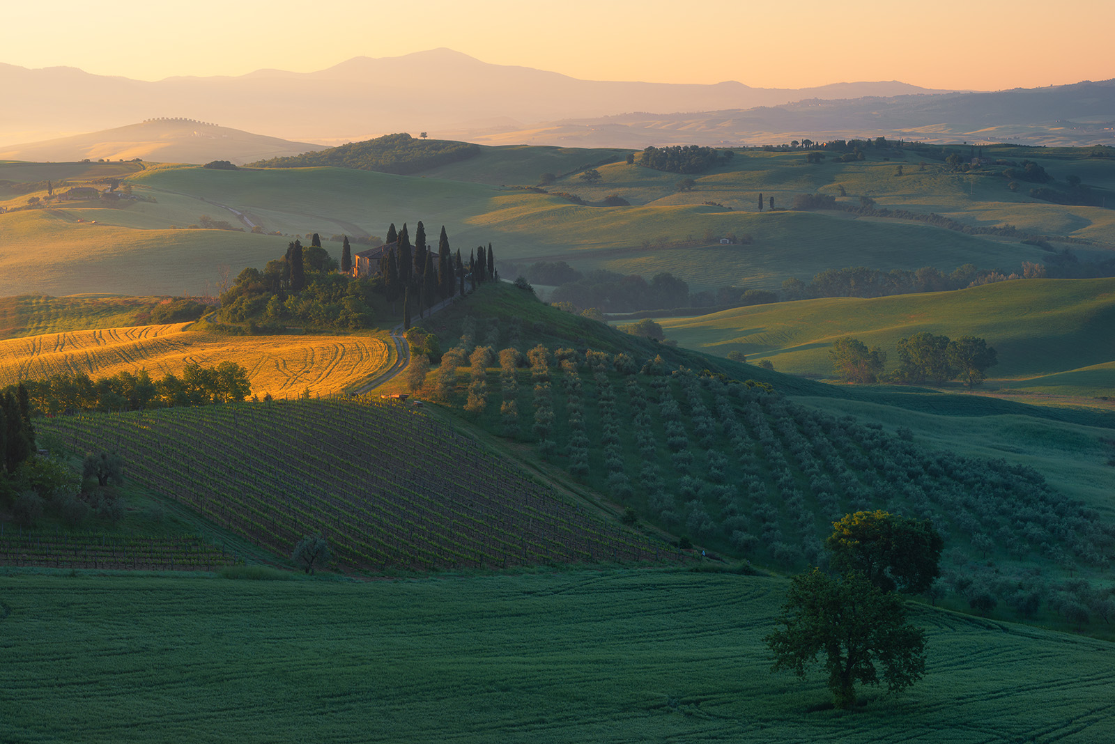 Podere Belvedere val d'Orcia maschere di luminosità, dopo