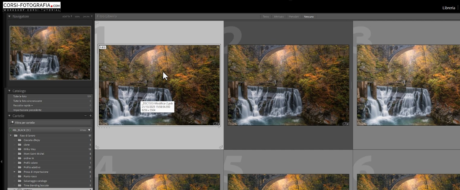 L'importazione automatica dei file PSB in Adobe Lightroom Classic