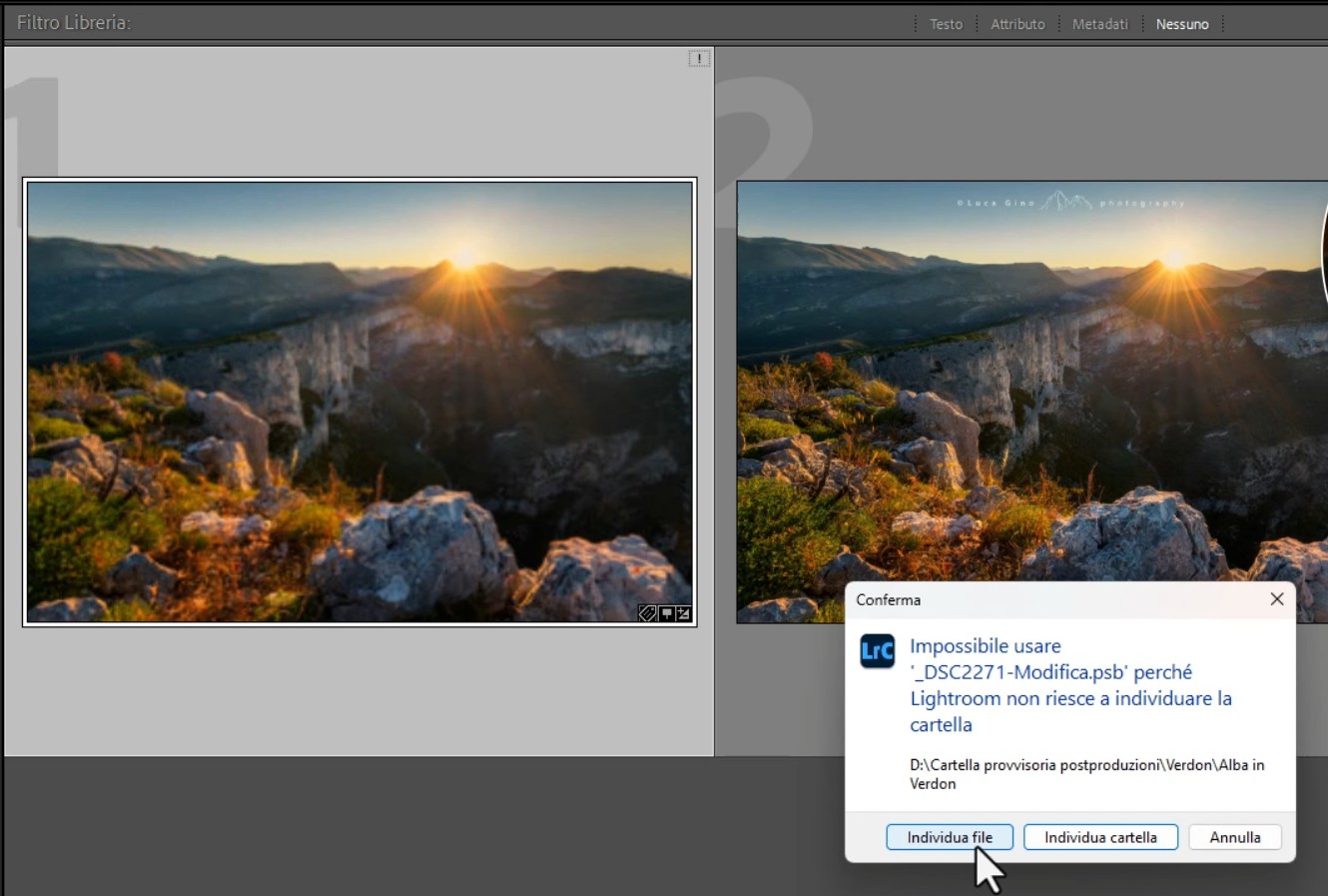 Il pannello individue file di Adobe Lightroom Classic
