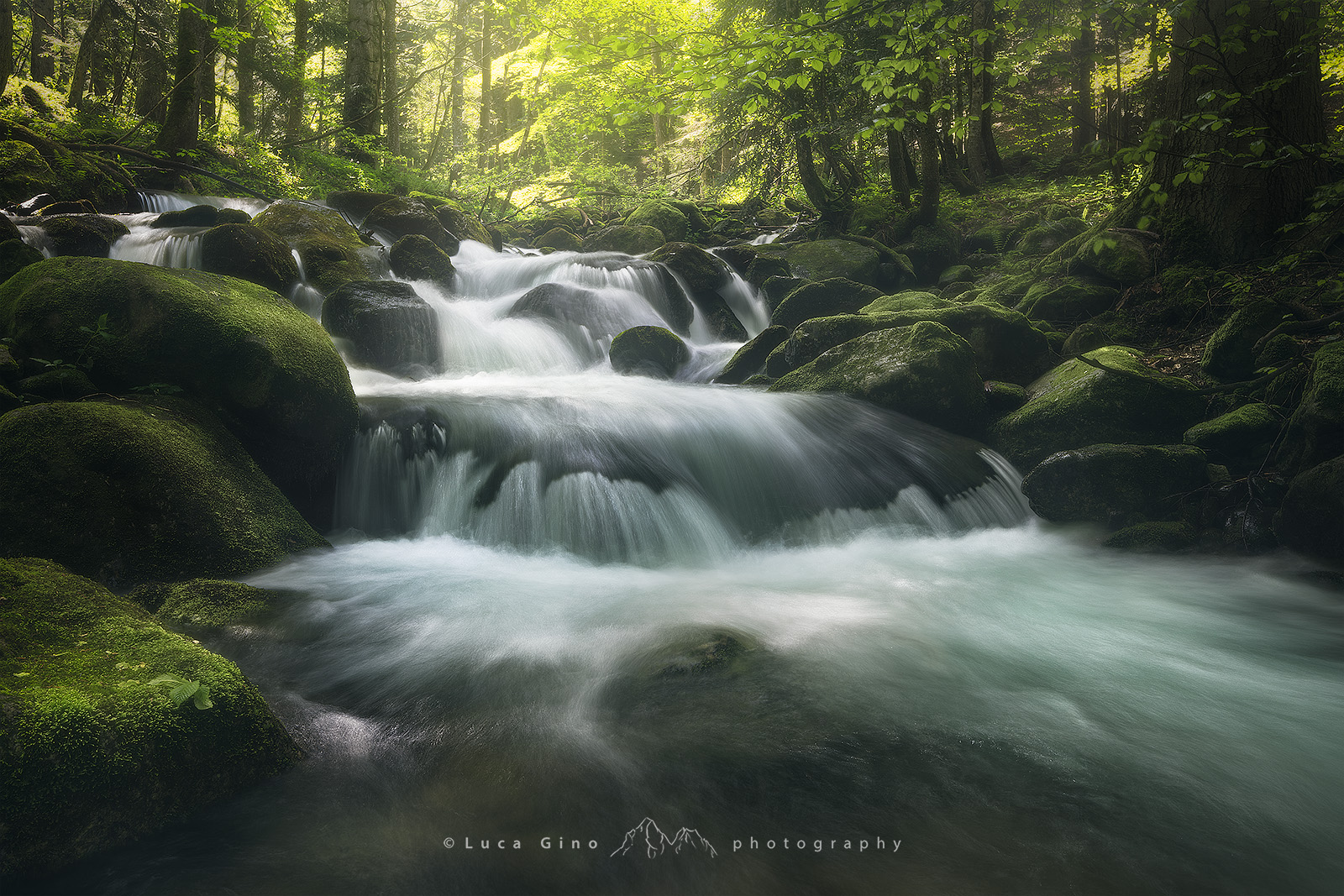 Il torrente Pesio in Primavera