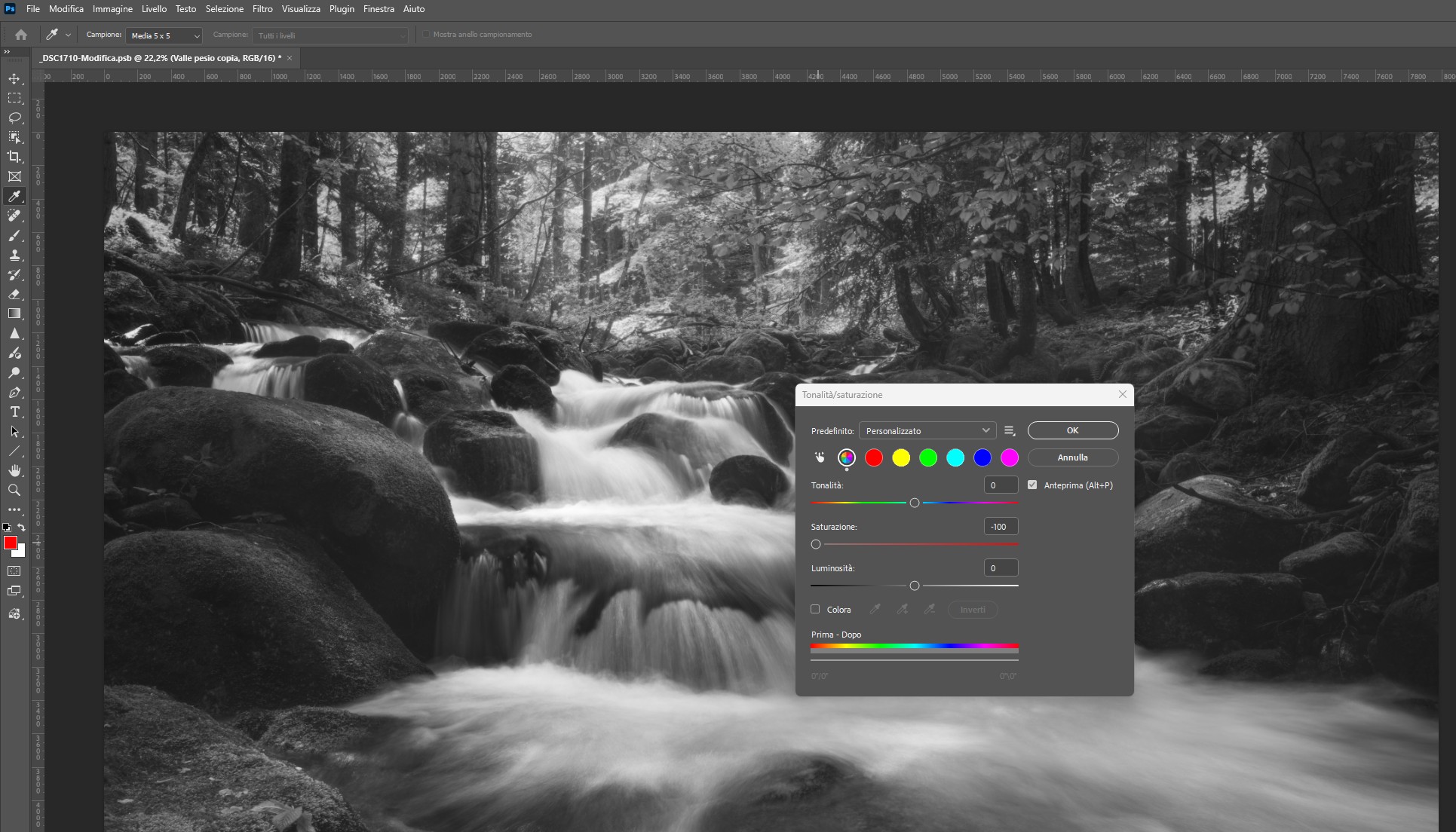 Convertire il livello in bianco e nero con tonalità e saturazione