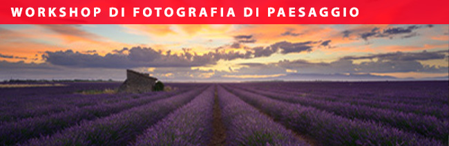 I colori della Provenza cover calendario