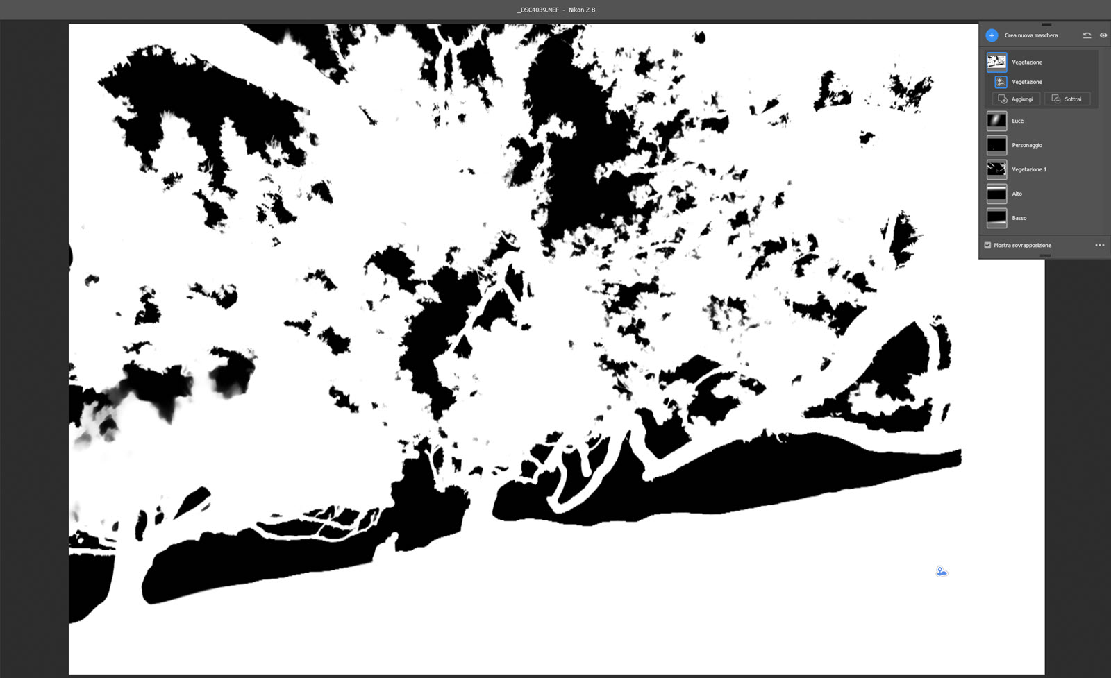 Visualizzazione della Maschera in Bianco e Nero