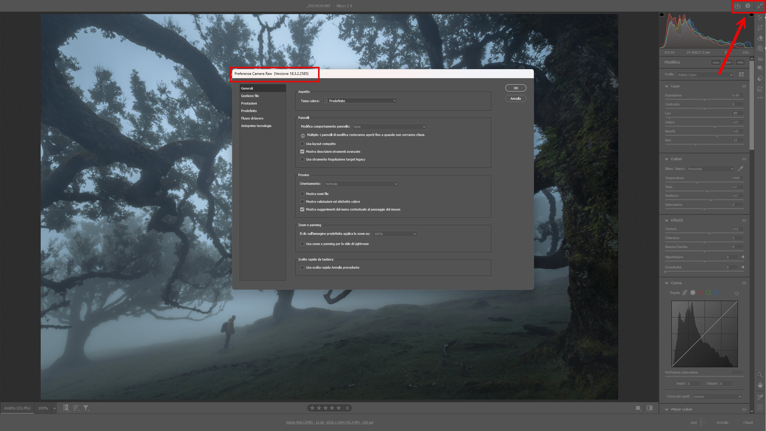 Come verificare la versione di Camera Raw