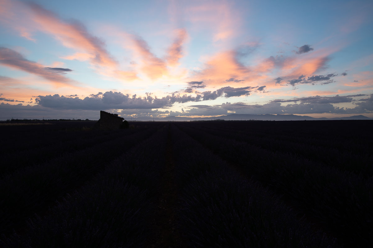 Corso completo di post-produzione del paesaggio Lavanda provenzale prima