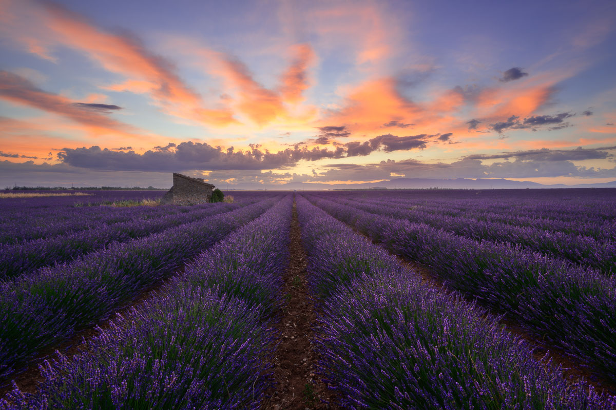 Corso completo di post-produzione del paesaggio Lavanda provenzale dopo