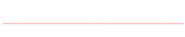 Viaggio Fotografico a Madeira, Primavera, Titolo